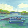 Elise Engler, Concho Perla, Vilamil, Isabela, Galapagos, 2008